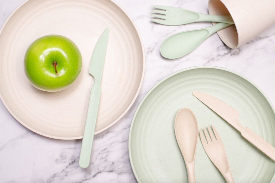 Eco Friendly Dinnerware for Kids Wheat straw Plastics Review